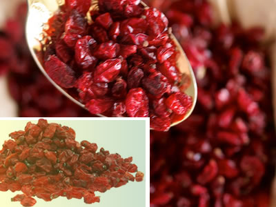 barberry-for-diarrhea