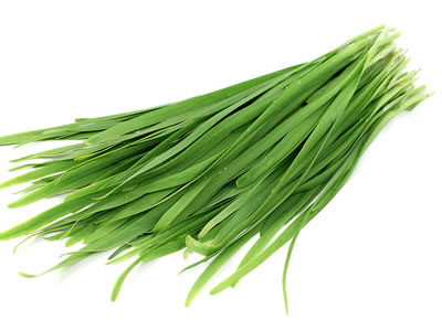 chives