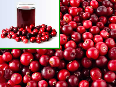 cranberry-for-urinary-tract-infection