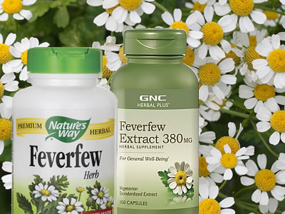 feverfew