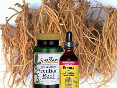 gentian-root