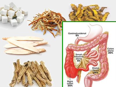 herbal-remedies-for-crohns-disease