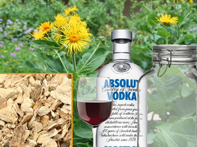 how-to-make-elecampane-tincture