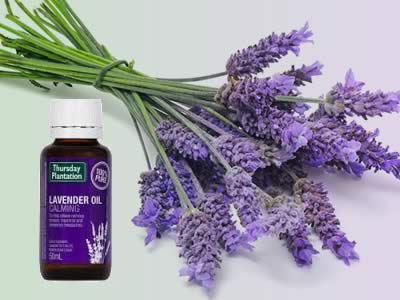 Lavender oil