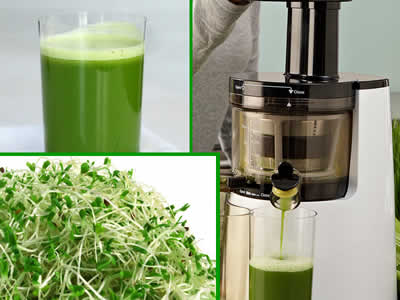 make-alfalfa-juice