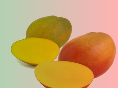 mango-cough