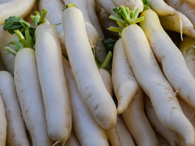 radish-daikon