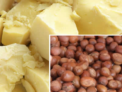shea-butter-for-dry-hair